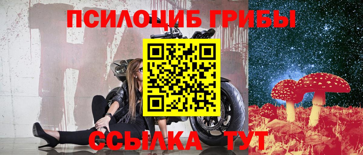Галлюциногенные грибы Psilocybe  Вход с VPN  Городец  Псилоцибиновые грибы Magic Shrooms 
