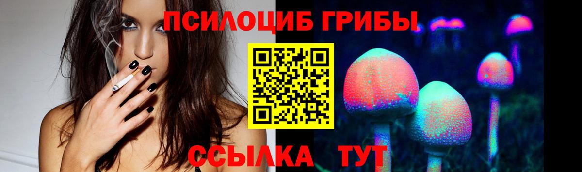 Псилоцибиновые грибы Psilocybine cubensis Городец